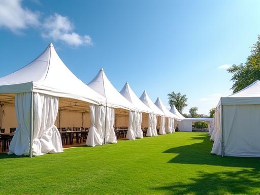 Carpas profesionales para eventos al aire libre